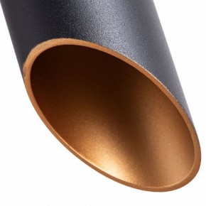 Подвесной светильник Arte Lamp Pilon-Gold A1536SP-1BK в Кунгуре - kungur.mebel24.online | фото 4