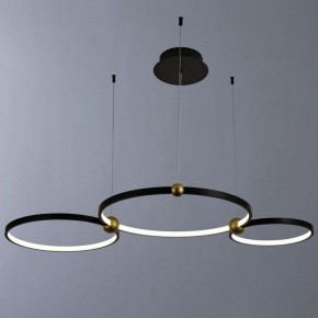 Подвесной светильник Divinare Amadeo 1123/04 SP-75 в Кунгуре - kungur.mebel24.online | фото 2