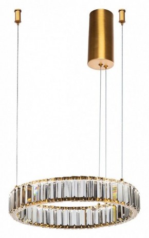 Подвесной светильник Divinare Renata 1135/17 SP-25 в Кунгуре - kungur.mebel24.online | фото 2