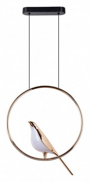 Подвесной светильник Divinare Summer 1188/01 SP-9 в Кунгуре - kungur.mebel24.online | фото 2