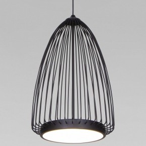 Подвесной светильник Eurosvet Comodita 40009/1 LED черный в Кунгуре - kungur.mebel24.online | фото