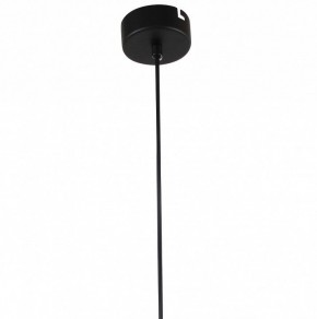 Подвесной светильник Favourite Aenigma 2556-1P в Кунгуре - kungur.mebel24.online | фото 4