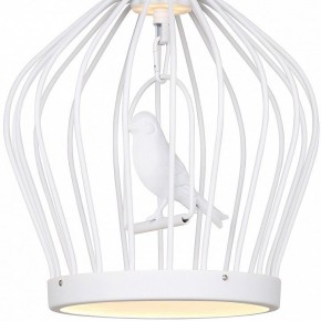 Подвесной светильник Favourite Chick 1931-2P в Кунгуре - kungur.mebel24.online | фото 3