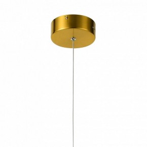 Подвесной светильник Favourite Conceptus 2641-1P в Кунгуре - kungur.mebel24.online | фото 6