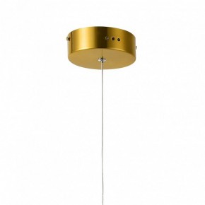 Подвесной светильник Favourite Conceptus 2642-1P в Кунгуре - kungur.mebel24.online | фото 6