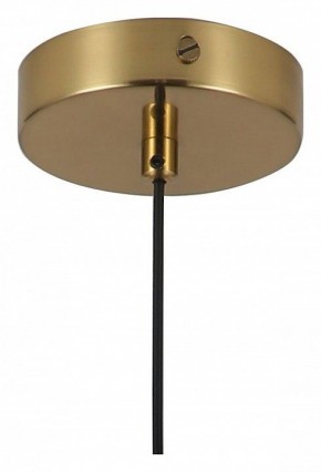 Подвесной светильник Favourite Copita 2777-1P в Кунгуре - kungur.mebel24.online | фото 5