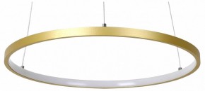 Подвесной светильник Favourite Giro 2937-4P в Кунгуре - kungur.mebel24.online | фото 2