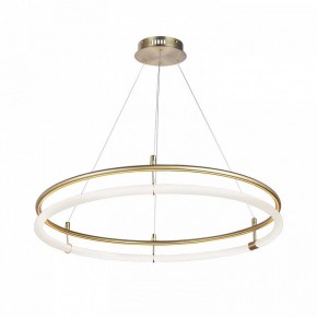 Подвесной светильник Favourite Girth 4629-8P в Кунгуре - kungur.mebel24.online | фото 2
