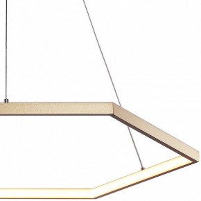 Подвесной светильник Favourite Hexagon 2103-6P в Кунгуре - kungur.mebel24.online | фото 3