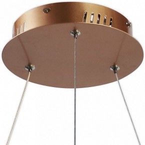 Подвесной светильник Favourite Hexagon 2103-6P в Кунгуре - kungur.mebel24.online | фото 4