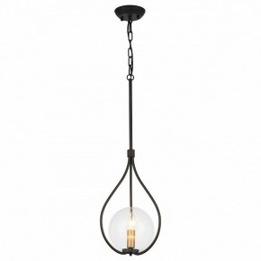 Подвесной светильник Favourite Kessel 1905-1P в Кунгуре - kungur.mebel24.online | фото 2