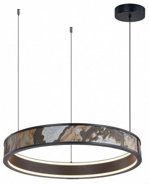 Подвесной светильник Favourite Lago 4598-1P в Кунгуре - kungur.mebel24.online | фото 2