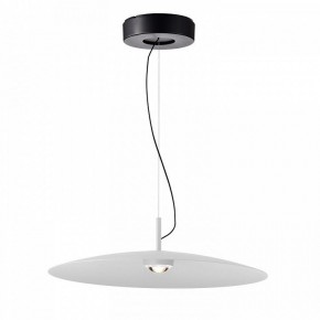 Подвесной светильник Favourite Lars 4410-1P в Кунгуре - kungur.mebel24.online | фото 2
