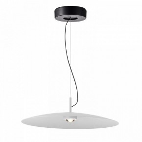 Подвесной светильник Favourite Lars 4410-2P в Кунгуре - kungur.mebel24.online | фото 2