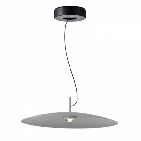 Подвесной светильник Favourite Lars 4412-1P в Кунгуре - kungur.mebel24.online | фото 2