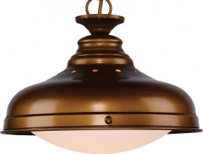 Подвесной светильник Favourite Laterne 1330-1P1 в Кунгуре - kungur.mebel24.online | фото 3