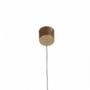 Подвесной светильник Favourite Somnium 2236-1P в Кунгуре - kungur.mebel24.online | фото 4