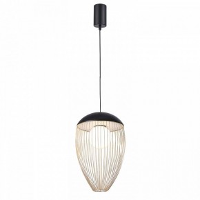 Подвесной светильник Favourite Сore 4241-1P в Кунгуре - kungur.mebel24.online | фото 2
