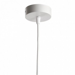 Подвесной светильник Feron HL3568 48089 в Кунгуре - kungur.mebel24.online | фото 8