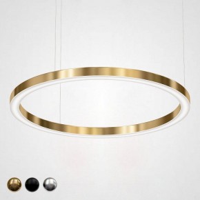 Подвесной светильник Imperiumloft Light Ring Horizontal 40.1454-120 в Кунгуре - kungur.mebel24.online | фото