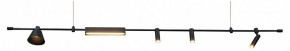 Подвесной светильник Kink Light Ристо 07616-180L,19 в Кунгуре - kungur.mebel24.online | фото