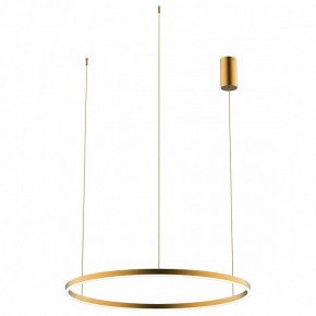 Подвесной светильник Kink Light Тор 08214,33P(3000K) в Кунгуре - kungur.mebel24.online | фото 2