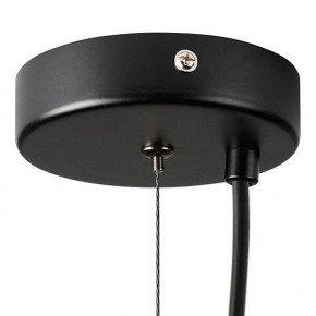 Подвесной светильник Lightstar Dissimo 803117 в Кунгуре - kungur.mebel24.online | фото 6