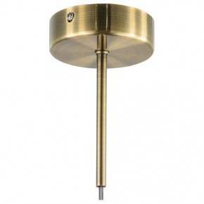 Подвесной светильник Lightstar Globo 813111 в Кунгуре - kungur.mebel24.online | фото