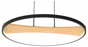 Подвесной светильник Lightstar Lodi 723127 в Кунгуре - kungur.mebel24.online | фото