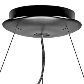 Подвесной светильник Lightstar Nibbler 812236 в Кунгуре - kungur.mebel24.online | фото 6