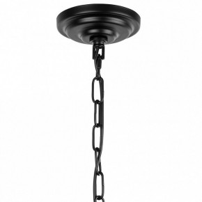 Подвесной светильник Lightstar Novara 713267 в Кунгуре - kungur.mebel24.online | фото 5