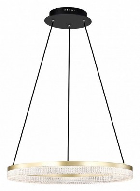 Подвесной светильник Lightstar Rotonda 736161 в Кунгуре - kungur.mebel24.online | фото 2