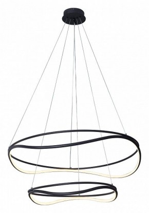 Подвесной светильник Lightstar Rotonda 736527 в Кунгуре - kungur.mebel24.online | фото 2