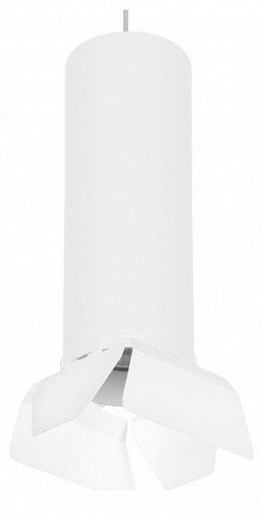 Подвесной светильник Lightstar Rullo RP6496486 в Кунгуре - kungur.mebel24.online | фото 1