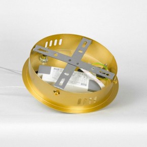 Подвесной светильник Lussole Benton LSP-7339 в Кунгуре - kungur.mebel24.online | фото 8