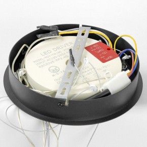 Подвесной светильник Lussole Hale LSP-7380 в Кунгуре - kungur.mebel24.online | фото 6