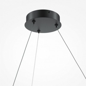 Подвесной светильник Maytoni Curve MOD242PL-L33BK в Кунгуре - kungur.mebel24.online | фото 5