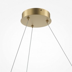 Подвесной светильник Maytoni Curve MOD242PL-L33BSK в Кунгуре - kungur.mebel24.online | фото 5