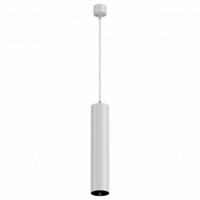 Подвесной светильник Maytoni Focus P075PL-01W в Кунгуре - kungur.mebel24.online | фото 2