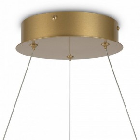 Подвесной светильник Maytoni Halo MOD100PL-L47BSK1 в Кунгуре - kungur.mebel24.online | фото 6