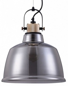 Подвесной светильник Maytoni Irving T163PL-01C в Кунгуре - kungur.mebel24.online | фото 2
