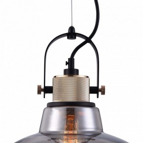 Подвесной светильник Maytoni Irving T163PL-01C в Кунгуре - kungur.mebel24.online | фото 9