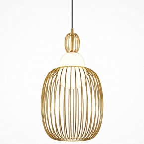 Подвесной светильник Maytoni Levitation MOD376PL-01G1 в Кунгуре - kungur.mebel24.online | фото