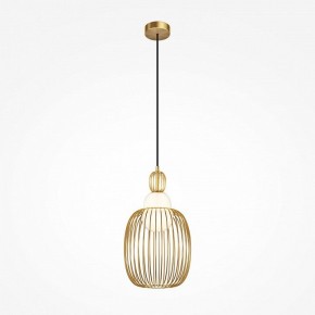 Подвесной светильник Maytoni Levitation MOD376PL-01G1 в Кунгуре - kungur.mebel24.online | фото 2