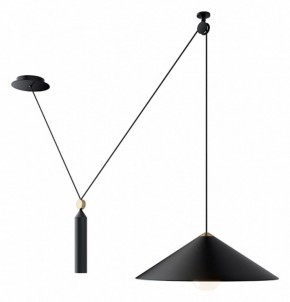 Подвесной светильник Maytoni Peso P080PL-01B в Кунгуре - kungur.mebel24.online | фото 3