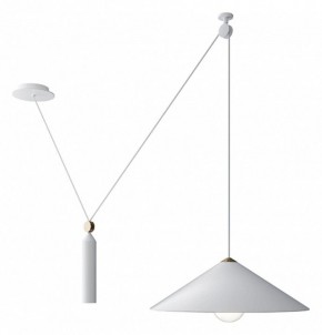 Подвесной светильник Maytoni Peso P080PL-01W в Кунгуре - kungur.mebel24.online | фото 2