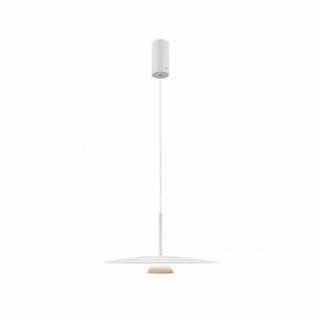 Подвесной светильник Maytoni Platte MOD352PL-L10W3K в Кунгуре - kungur.mebel24.online | фото 4