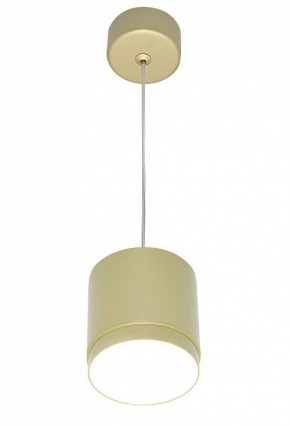 Подвесной светильник Maytoni Polar P088PL-GX53-MG в Кунгуре - kungur.mebel24.online | фото 3