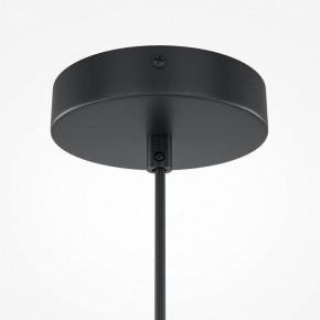 Подвесной светильник Maytoni Roots MOD194PL-01W1 в Кунгуре - kungur.mebel24.online | фото 5