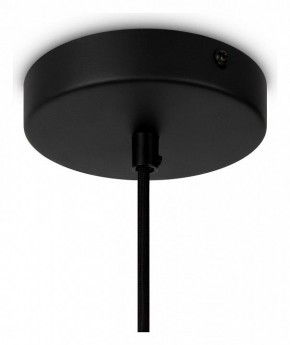 Подвесной светильник Maytoni Roots MOD195PL-01W1 в Кунгуре - kungur.mebel24.online | фото 4